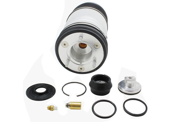 تعویق هوا پیشانی شاک اسپری برای Dodge Ram 1500 13-19 4877147AA 4877146AA