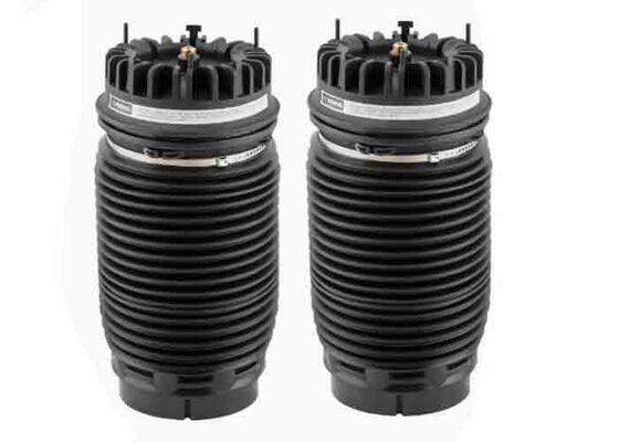 04877136AA 04877136AB کیسه های تعلیق هوا عقب برای Dodge Ram 1500 کلاسیک 2013-2018 چپ و راست